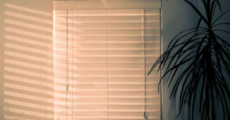 Blinds - Photo of Window Blinds Near Plant