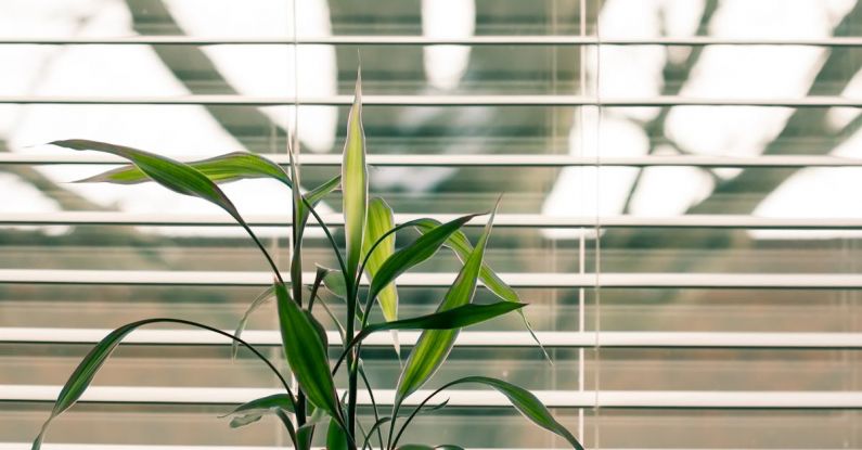 Blinds - Green Leaf Plant Against White Venetian Window Blinds